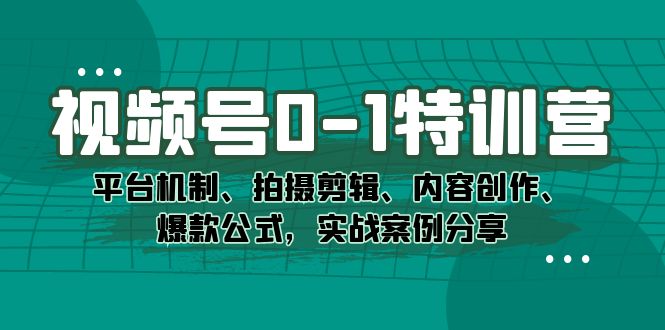 （7373期）视频号0-1特训营：平台机制、拍摄剪辑、内容创作、爆款公式，实战案例分享-生财有道