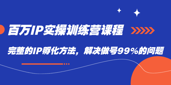 （7354期）百万IP实战训练营课程，完整的IP孵化方法，解决做号99%的问题-生财有道