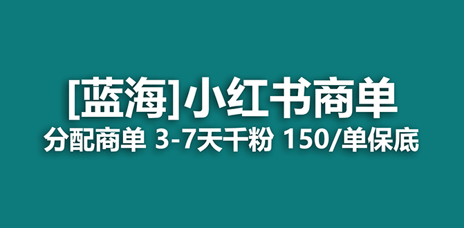 （7349期）2023蓝海项目，小红书商单，快速千粉，长期稳定，最强蓝海没有之一-生财有道