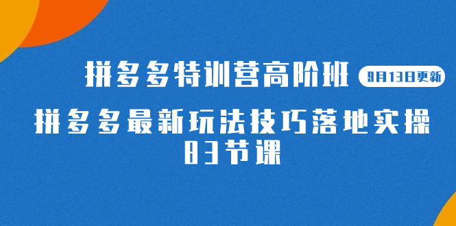 （7295期）2023拼多多·特训营高阶班【9月13日更新】拼多多最新玩法技巧落地实操-83节-生财有道