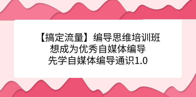 （7281期）【搞定流量】编导思维培训班，想成为优秀自媒体编导先学自媒体编导通识1.0-生财有道