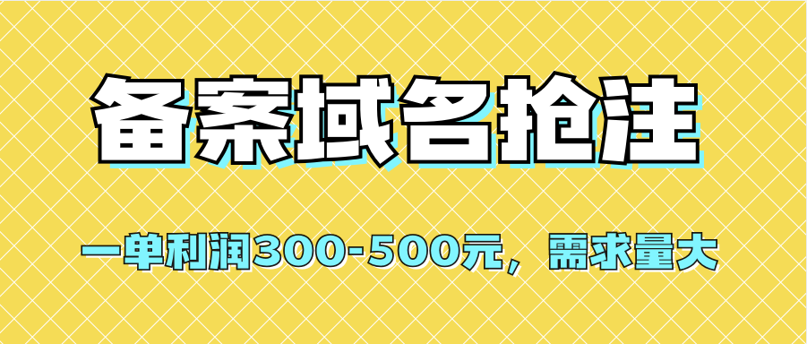 （7277期）【全网首发】备案域名抢注，一单利润300-500元，需求量大-生财有道