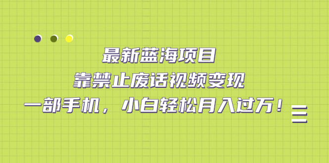 （7276期）最新蓝海项目，靠禁止废话视频变现，一部手机，小白轻松月入过万！-生财有道