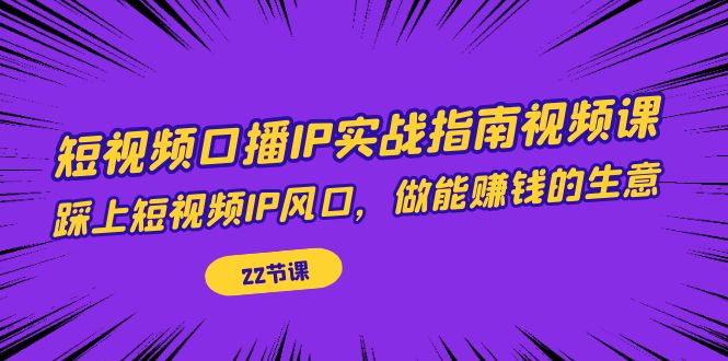 （7202期）短视频口播IP实战指南视频课，踩上短视频IP风口，做能赚钱的生意（22节课）-生财有道