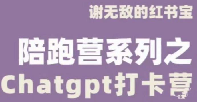 谢无敌ChatGPT打卡营，教你更好地使用ChatGPT来提高工作效率-生财有道
