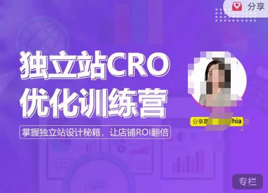独立站CRO优化训练营，掌握独立站设计秘籍，打造高转化的独立站，让店铺ROI翻倍-生财有道