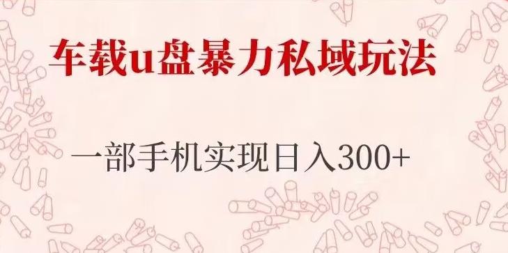 车载u盘暴力私域玩法，长期项目，仅需一部手机实现日入300+-生财有道