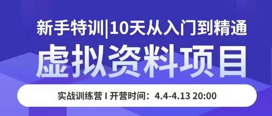 虚拟资料项目新手特训，10天从入门到精通，保姆级实操教学-生财有道