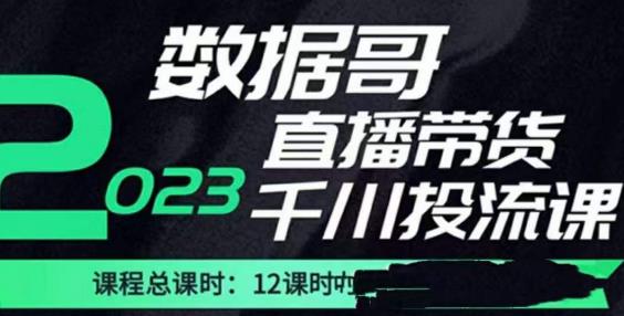 数据哥2023直播电商巨量千川付费投流实操课，快速掌握直播带货运营投放策略-生财有道