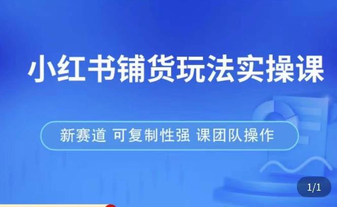 小红书铺货玩法实操课，流量大，竞争小，非常好做，新赛道，可复制性强，可团队操作-生财有道