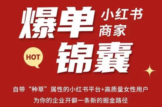 无畏·小红书商家爆单锦囊，掌握小红书各大规则，快速精准抢占行业和市场-生财有道