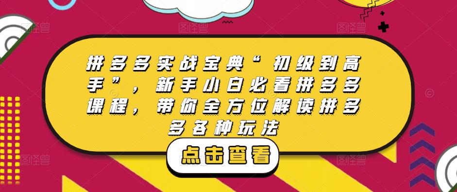 拼多多实战宝典“初级到高手”，新手小白必看拼多多课程，带你全方位解读拼多多各种玩法-生财有道