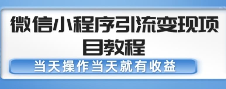 微信小程序引流变现项目教程，当天操作当天就有收益，变现不再是难事-生财有道