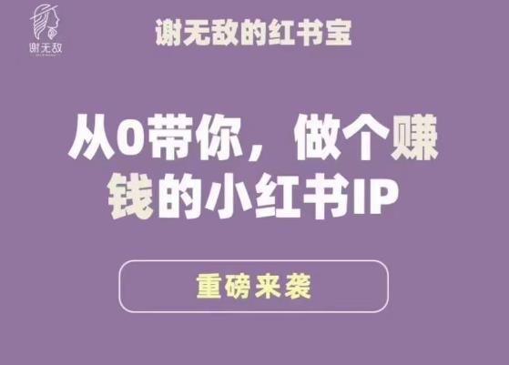 谢无敌·小红书运营大宝典，从0带你做个赚钱的小红书IP-生财有道