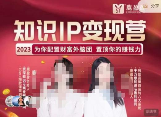 鹿盈盈-知识IP变现实操营，​普通人可复制的知识产品落地实操课，​带你打通知识IP变现底层逻辑-生财有道