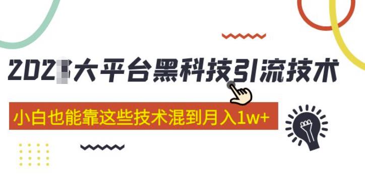 大平台黑科技引流技术，小白也能靠这些技术混到月入1w+(2022年的课程）-生财有道