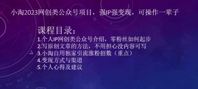 小淘2023网创类公众号项目，强IP强变现，可操作一辈子-生财有道