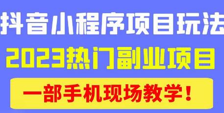 抖音小程序9.0新技巧，2023热门副业项目，动动手指轻松变现-生财有道