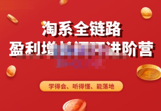 淘系全链路盈利增长闭环进阶营，融合全店动销，学得会、听得懂、能落地！-生财有道