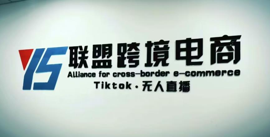 YS联盟·Tiktok无人直播，不出镜不剪辑不拍摄不发货无售后的跨境短视频躺赚玩法-生财有道