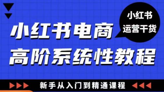 小红书电商高阶系统教程，新手从入门到精通系统课-生财有道