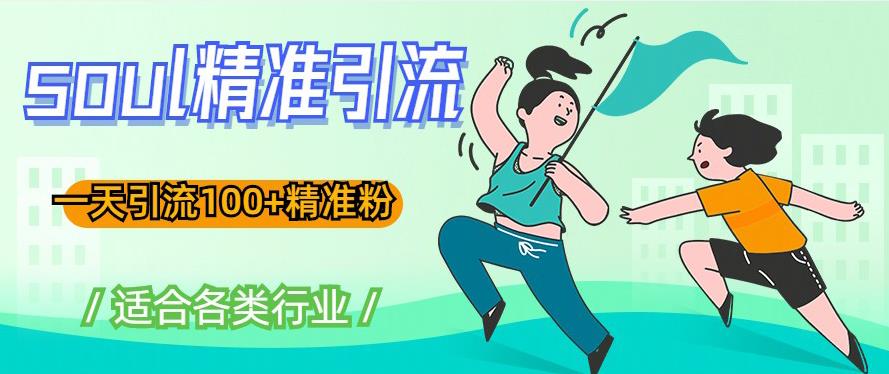 soul精准引流系列课程，一天引流100+精准粉，适合各类行业-生财有道