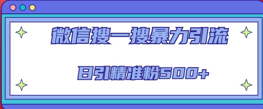 微信搜一搜引流全系列课程，日引精准粉500+（8节课）-生财有道