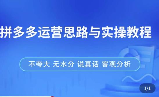 拼多多店铺运营思路与实操教程，快速学会拼多多开店和运营，少踩坑，多盈利-生财有道