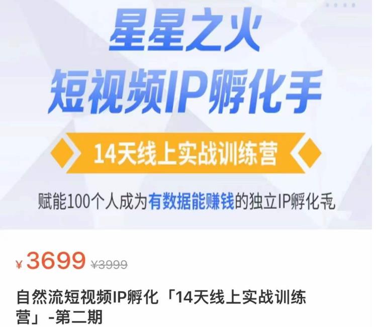 瑶瑶·自然流短视频IP孵化第二期，14天线上实战训练营，赋能100个人成为有数据能赚钱的独立IP孵化手-生财有道