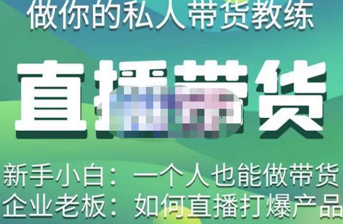 硬核传媒·直播带货（私人教练），实操实战教学，通俗易懂，学完后新手小白一个人也能做带货-生财有道