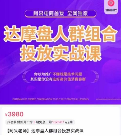 阿呆电商·达摩盘人群组合投放实战课，你以为推广不赚钱是技术问题，其实是你没有选好高价值消费客群-生财有道
