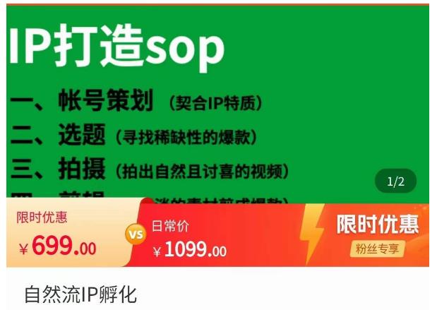 瑶瑶·自然流IP孵化，系统掌握IP孵化全流程，也能学到选题，剪辑，账号运营经验-生财有道