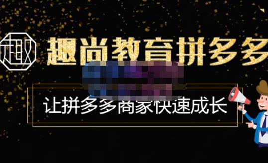 趣尚教育·拼多多运营实操VIP特训营，让拼多多商家快速成长-价值3180元-生财有道