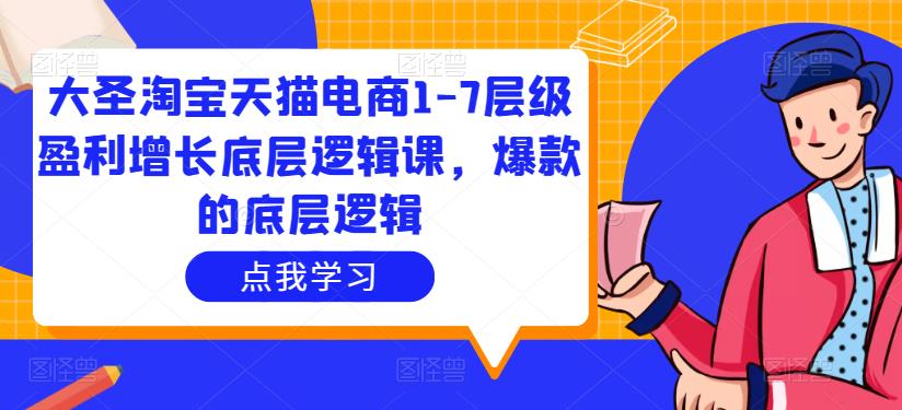 大圣淘宝天猫电商1-7层级盈利增长底层逻辑课，爆款的底层逻辑-生财有道