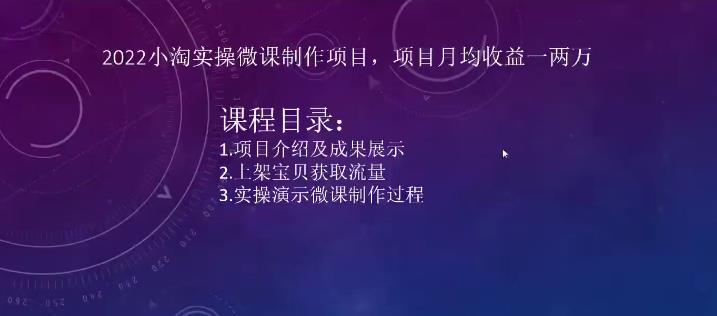 2022小淘实操微课制作项目，项目月均收益一两万-生财有道