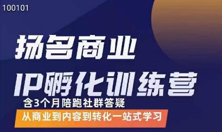 王扬名·商业IP孵化训练营，从商业到内容到转化一站式学习-生财有道