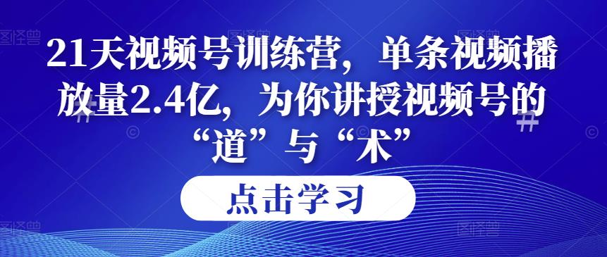 第14期21天视频号训练营，单条视频播放量2.4亿，为你讲授视频号的“道”与“术”！-生财有道