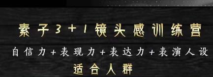 素子表现力训练营，提高自信力+表现力+表达力+表演人设，打造个人魅力ip-生财有道