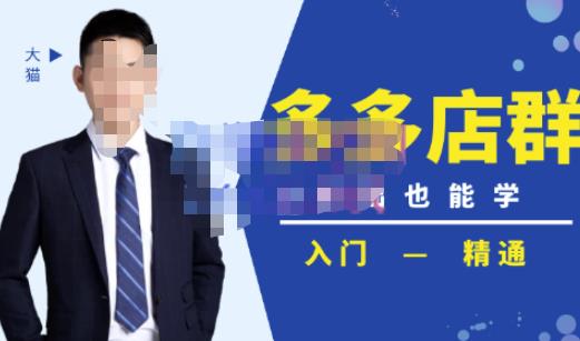 98K电商学院·拼多多店群培训课，0基础也能学，从入门到精通-价值2499元-生财有道