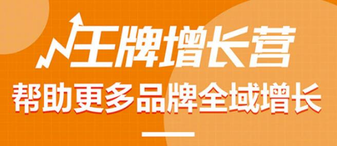 【王牌增长营】帮助更多电商品牌全域增长，月销百万实操干货，价值899元-生财有道