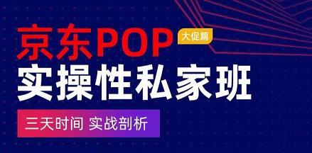 京东POP实操性私家班——大促篇，​三天时间，实战剖析-​原价4980-生财有道