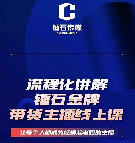 锤石传媒婉婉·金牌带货主播线上课，流程化讲解，打造金牌带货主播-生财有道