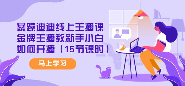 暴躁迪迪线上主播课，金牌主播教新手小白如何开播（15节课时）-生财有道