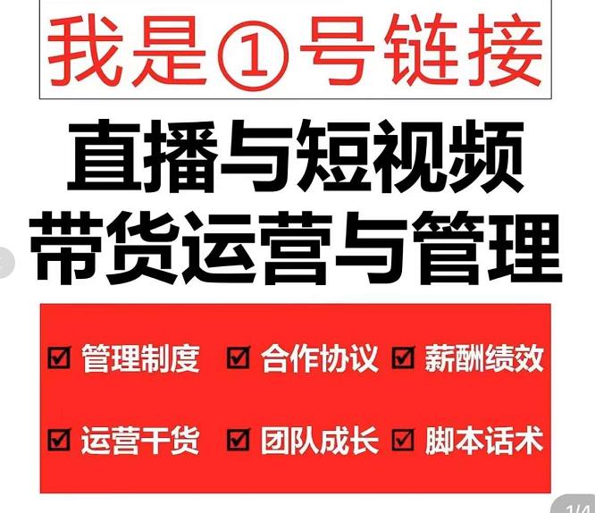 慧老板·2022年直播带货运营与管理2.0，直播带货全方位立体培训-生财有道