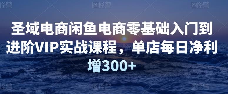 圣域电商闲鱼电商零基础入门到进阶VIP实战课程，单店每日净利增300+-生财有道