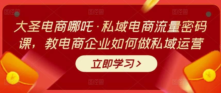 大圣电商哪吒·私域电商流量密码课，教电商企业如何做私域运营-生财有道
