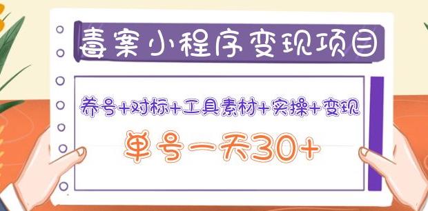 森罗万项毒案小程序变现项目：养号+对标+工具素材+实操+变现，单号一天30+-生财有道