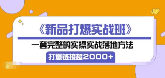 《新品打爆实战班》一套完整的实操实战落地方法，打爆链接超2000+（38节课)-生财有道