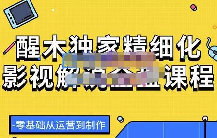 醒木独家精细化影视解说全盘课程，零基础从运营到制作-生财有道