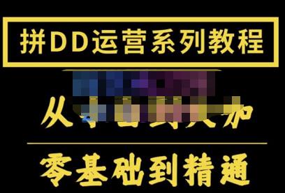 2022全套拼多多核心实操课程，从0-1轻松起链接实战，低投入高产出运作店铺-生财有道